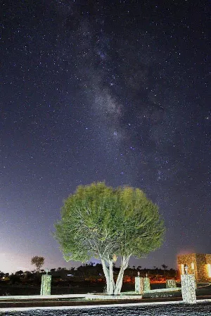 عدسة عمانية